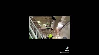 Life of a Marine Engineer seamans youtube youtubeshorts foryou fyp seamanslife [upl. by Ayeki]