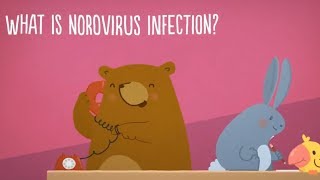 What is Norovirus Infection Overview [upl. by Eneles387]