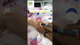 💉🧪 blood sample collection 💉💉medicalvlog shortvideo 💉🧪 [upl. by Yggep403]