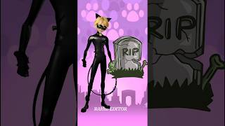 Cat Noir X RIP In Miraculous And Other Characters rip [upl. by Nore]