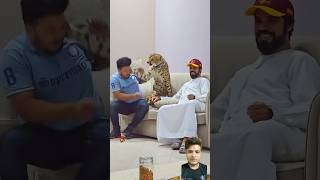 🐆cheetah se panga lena bhari pad gya😱😱 shorts tiger comedy funnyscenes animals shaikh [upl. by Lavine300]