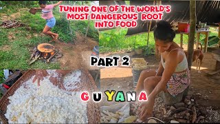 Guyana  Turning One of the Worlds Most Dangerous Root into Food Part 2  EP 16 [upl. by Stearns294]