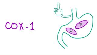 Cyclooxygenase1 amp Cyclooxygenase2 COX 1 COX 2  All You Need To Know  Pharmacology [upl. by Toille975]