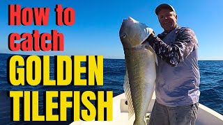 How to catch GOLDEN TILEFISH [upl. by Edniya51]