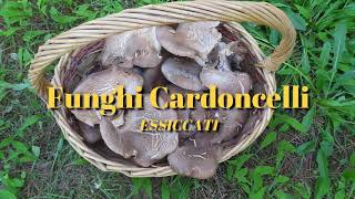 Essiccare i funghi cardoncelli con lessiccatore [upl. by Ylrak902]