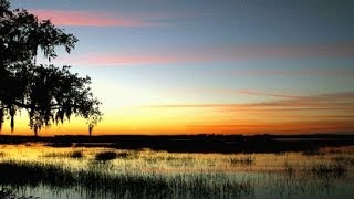 Seabrook Island Flyover Take a Tour Charleston SC [upl. by Guyer]