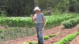 Easy Vegetable Gardening [upl. by Tergram]