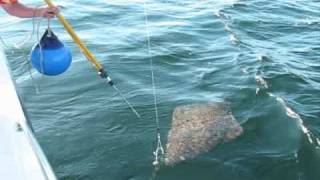 Ketchikan Alaska Halibut Fishing in at Chinook Shores Lodge [upl. by Aramad]