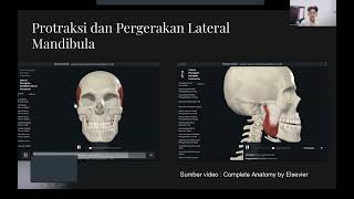 Anatomi Mandibula dan Musculusnya Regio Antebrachium Musculus dan nervusnya Art Genu dan Femur [upl. by Anaicilef]