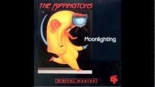 The Rippingtons  quotMiragequot [upl. by Attenehs]