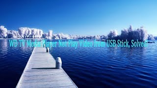 WD TV Media Player Not Play AVI MKV MP4 Video from USB Stick Solved [upl. by Edlihtam]