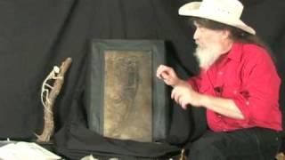 Famous Fossil quotIdaquot Plate B Analysis with Dr Robert Bakker [upl. by Birk]