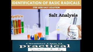 Chemistry practical  Step by Step Cation detection  Salt Analysis  Chemistry class 12  Short [upl. by Iarahs144]