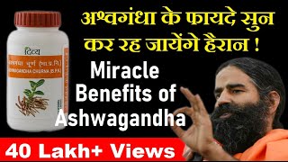 Benefits of Ashwagandha Powder amp Capsule अश्वगंधा के चमत्कारी फायदे [upl. by Kev]