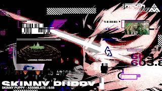 SKINNY PUPPY  ASSIMILATE  DUSTRIAL NETART GLITCH MECH CHVRCH [upl. by Yecnay944]