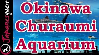 Okinawa Churaumi Aquarium Tour  Video Japan Guide [upl. by Audwen129]