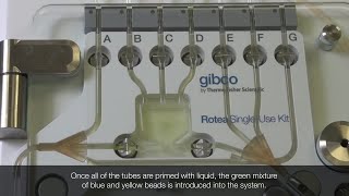 Gibco™ CTS™ Rotea™ System bead kit How to run a separation protocol [upl. by Llirret]