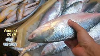 গড়িয়া মাছের বাজারে মাছের দাম আগস্ট 2024 fish price in Kolkata  hilsa price in kolkatailish [upl. by Byrd984]