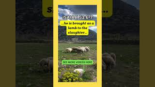 ISAIAH 5367  King James Bible Audiobook   The Lamb of God bibleverse [upl. by Gaw]