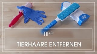 Tutorial Hundehaare entfernen  Tierhaare aus Textilien entfernen [upl. by Lednew]