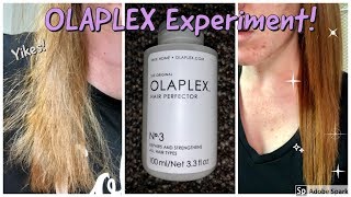 Olaplex No 3  HAIR EXPERIMENT [upl. by Tilden245]