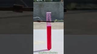 Science experiments Acid base indicator chemistry science viralvideo physics trending [upl. by Tade168]