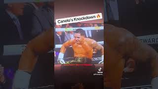 Canelos 3rd Round Knockdown 🔥🥊 boxeo caneloalvarez [upl. by Kcirederf]