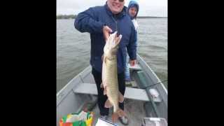 2014 fishingpeche Lac St Louis MontrealGros Large musky [upl. by Meuser]