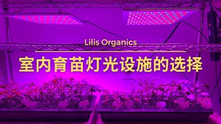 室内育苗光照设施的选择  Using T5 and LED Grow Lights for Indoor Seedling [upl. by Tsai]