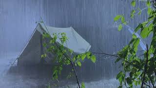 Sleep Instantly on Stormy Night  Heavy Rain on Tent amp Very Strong Thunder at Night  White Noise [upl. by Waylan]