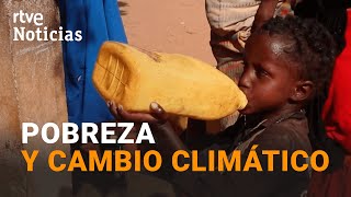 SEQUÍA La FALTA de AGUA provoca DESPLAZAMIENTOS en el CUERNO de ÁFRICA y el SAHEL  RTVE Noticias [upl. by Nylekcaj]