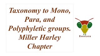 Taxonomy to Mono Para and Polyphyletic groups Miller Harley Chapter [upl. by Ahsat412]