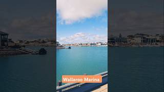 Alehouse australia wallaroo drinks southaustralia australia travel couple marina experience [upl. by Anilegna]