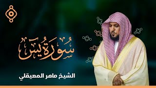 Surat Yasin Maher Al Muaiqly  سورة يس  الشيخ ماهر المعيقلي [upl. by Meesaw537]