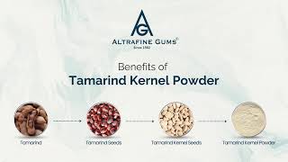 Benefits of Tamarind Kernel Powder [upl. by Aseeram]