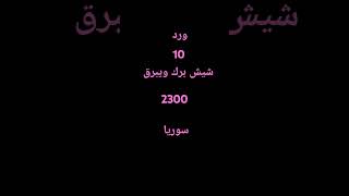 1 نونبر 2024 [upl. by Osyth]