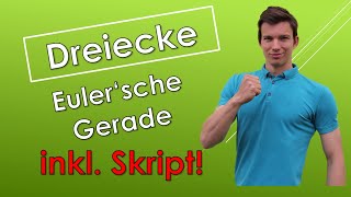 Die Eulersche Gerade  Dreieckskonstruktionen mit SKRIPT [upl. by Marlen]