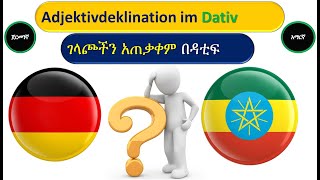 GermanAmharic  Adjektivdeklination im Dativ  ገላጮችን አጠቃቀም በዳቲፍ [upl. by Amar]