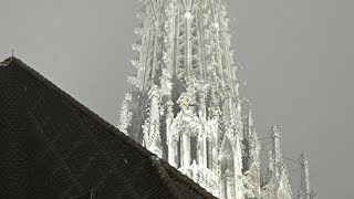 Österreichische Bundeshymne im Wiener Stephansdom am Nationalfeiertag 2024 [upl. by Rahal]