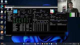 HWINFO software para testear el CPU [upl. by Ellehcem863]