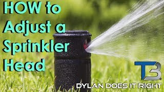 DIY — How to Adjust a Rain Bird 1800 Sprinkler Head  Transblue Does it Right [upl. by Yhcir]