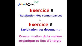 Exercice 5 Exercice 6 quotUnité 1  Consommation de la matière organique et flux d’énergiequot [upl. by Linson]