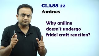 Why aniline doesnt undergo fridel craft reactionAmines  class 12 [upl. by Samira]