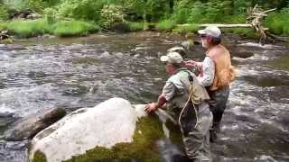 The Elusive Giant Catfish  National Geographic [upl. by Milon228]