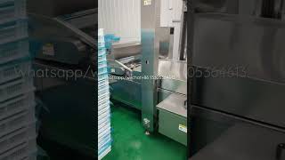 Continuous frying machine  onion potato chips cassava fryer french fries production line [upl. by Mundy]