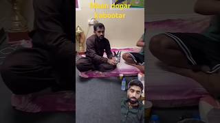 Maandogar dubai msin kabootar k sth😲 explore youtubeshorts rajabvlog youtube rajabfamily [upl. by Athalee]