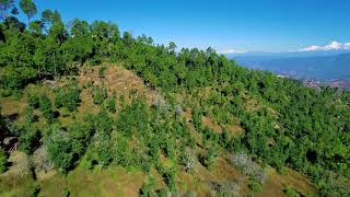 HIMALAYA OAK RESORTS JALNA ALMORA UTTRAKHAND RESIDENTIAL PLOT FOR SALE 9540791650 [upl. by Aisauqal]