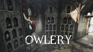 Owlery  Hogwarts Legacy Harry Potter ambience [upl. by Gustafson]