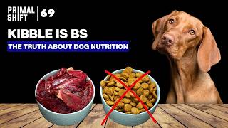 Is Your Dogs Diet Really Healthy Here’s What You Need to Know  Ep 69 [upl. by Corin]