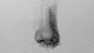 How to draw realistic nose step by step  nose drawing tutorial [upl. by Llerret]